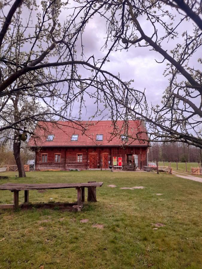Апартаменты Liljas Haus Im Spreewald Бург Экстерьер фото