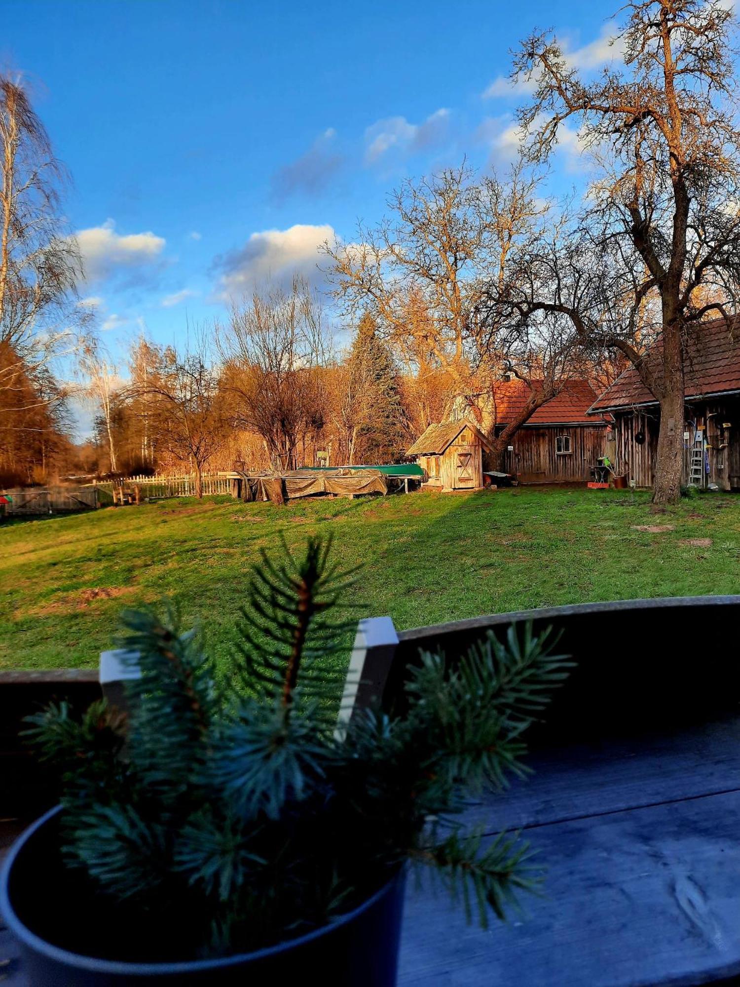 Апартаменты Liljas Haus Im Spreewald Бург Экстерьер фото