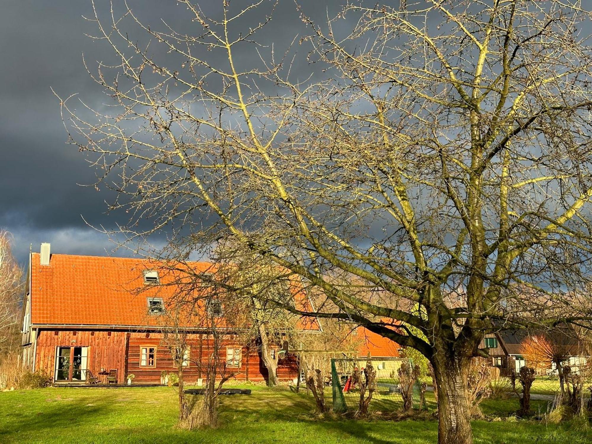 Апартаменты Liljas Haus Im Spreewald Бург Экстерьер фото