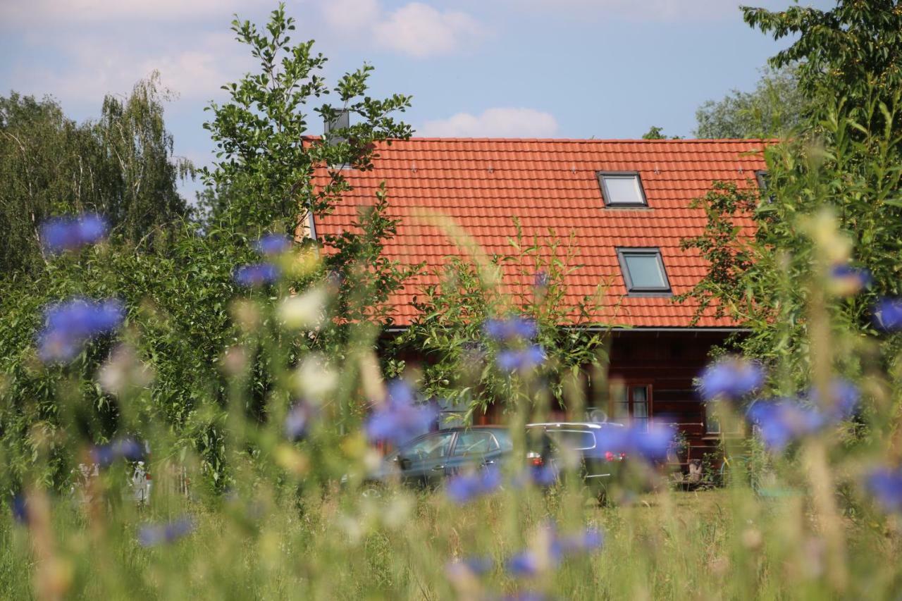 Апартаменты Liljas Haus Im Spreewald Бург Экстерьер фото